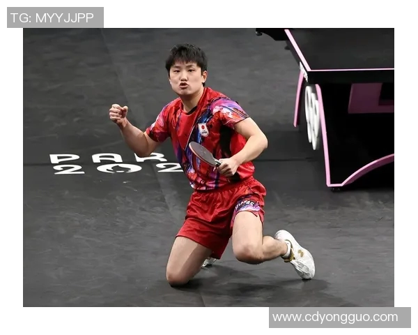 周雨与张本智和激战乒乓赛场谁能笑到最后引发球迷热议